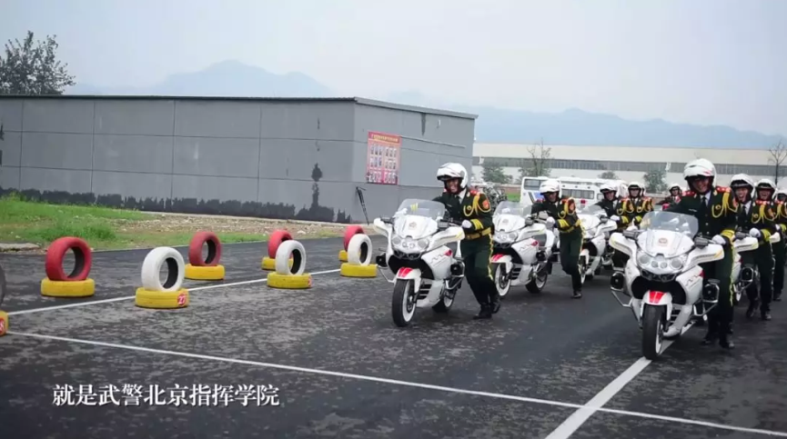 国宾护卫队护卫标准，卓越、专业与尊重的体现，国宾护卫队卓越标准，专业护卫展现尊重与卓越精神