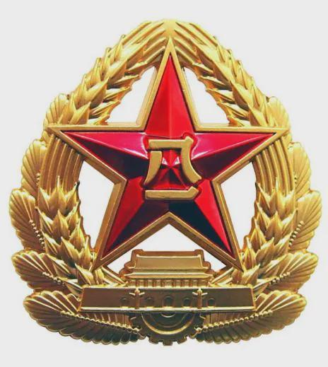中国人民解放军军旗与军徽简笔画，象征与荣誉的完美结合，中国人民解放军军旗与军徽简笔画，象征与荣誉的交融辉映
