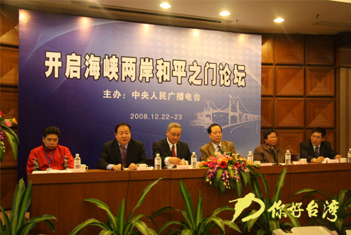 海峡两岸的盼望，共筑未来之梦，海峡两岸共筑未来之梦，盼望与愿景的融合