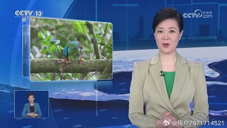 今天央视新闻直播间的新动态与SEO策略洞察，央视新闻直播间最新动态与SEO策略深度洞察