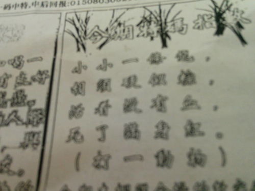 香港刘伯温解平特一肖网，揭秘预测玄机与历史文化底蕴，揭秘刘伯温解平特一肖预测玄机与历史文化底蕴