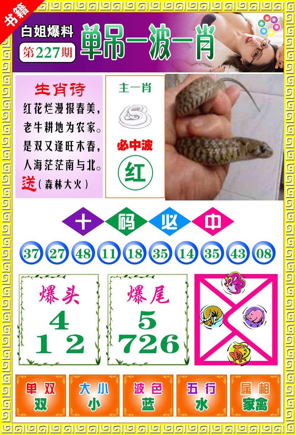 王中王开奖结果一肖，揭秘彩票背后的秘密，揭秘彩票背后的秘密，王中王开奖结果一肖揭晓