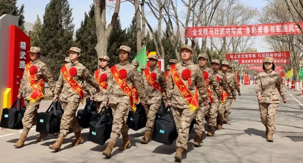 海军勤务学院是什么兵？全面解读海军勤务学院的职责与角色，海军勤务学院的职责与角色全面解读，究竟是什么样的兵种？