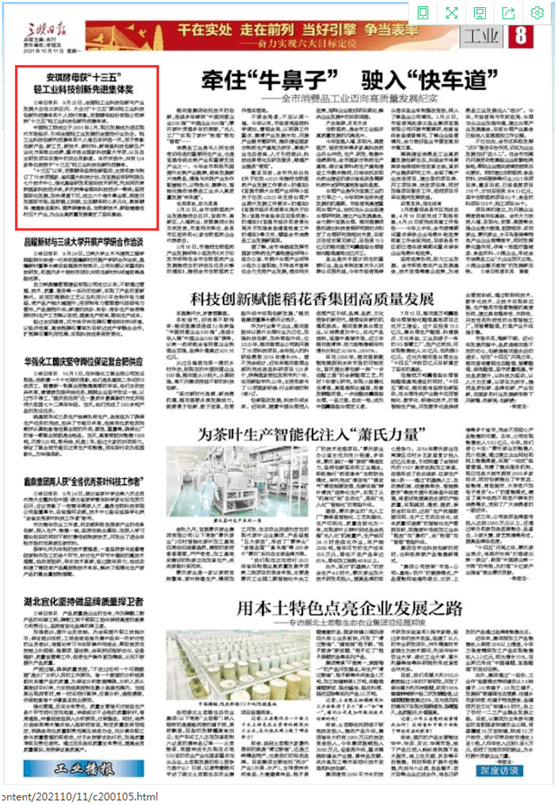 最新资讯，关于十月十一日今日新闻内容全面解析，十月十一日最新新闻资讯全面解析