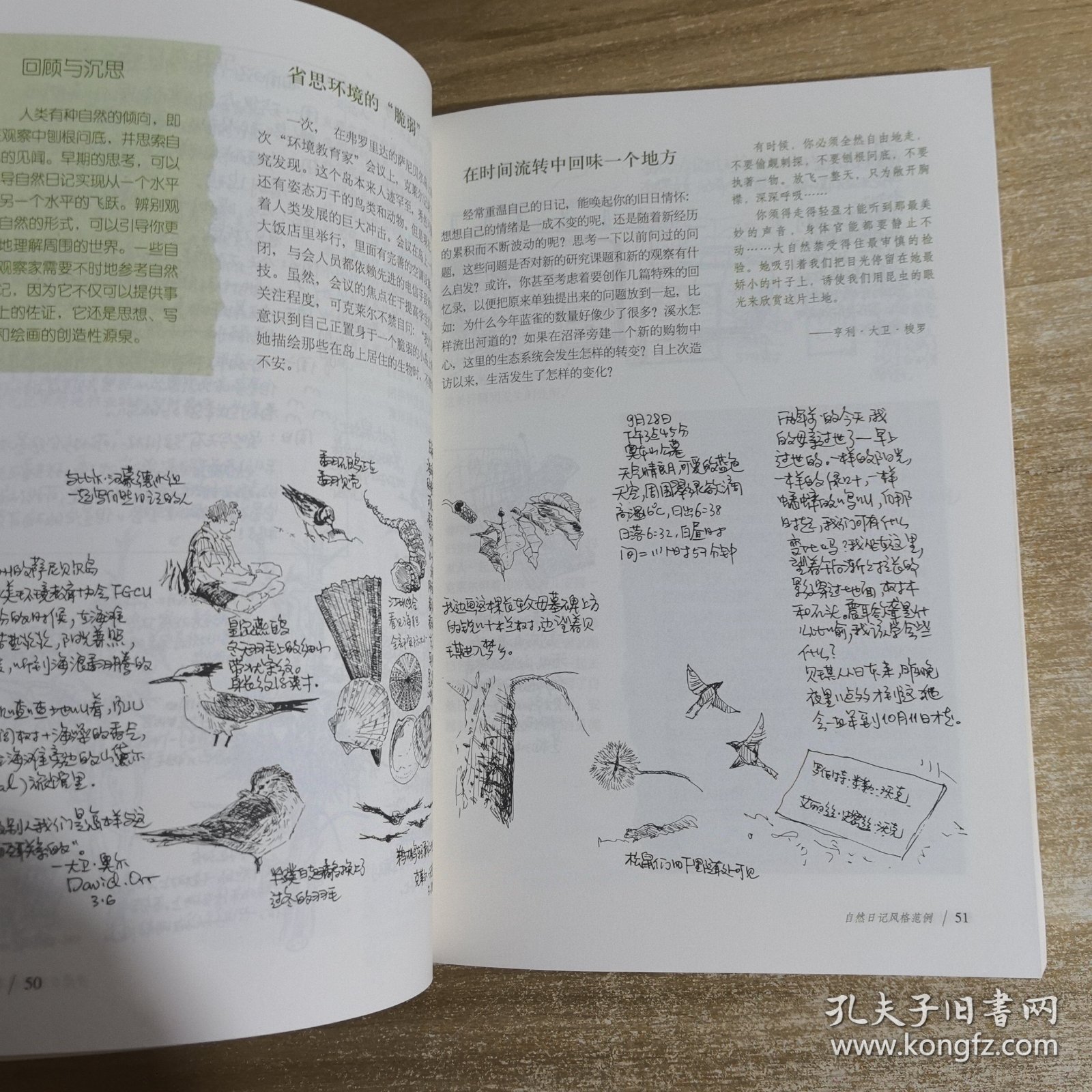 国际观察笔记，全球风云的深度洞察，全球风云变幻的深度洞察，国际观察笔记