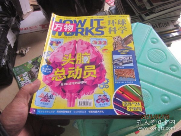 王中王2十9期指一生肖，探寻背后的秘密与奥秘，探寻王中王2十9期生肖背后的秘密与奥秘