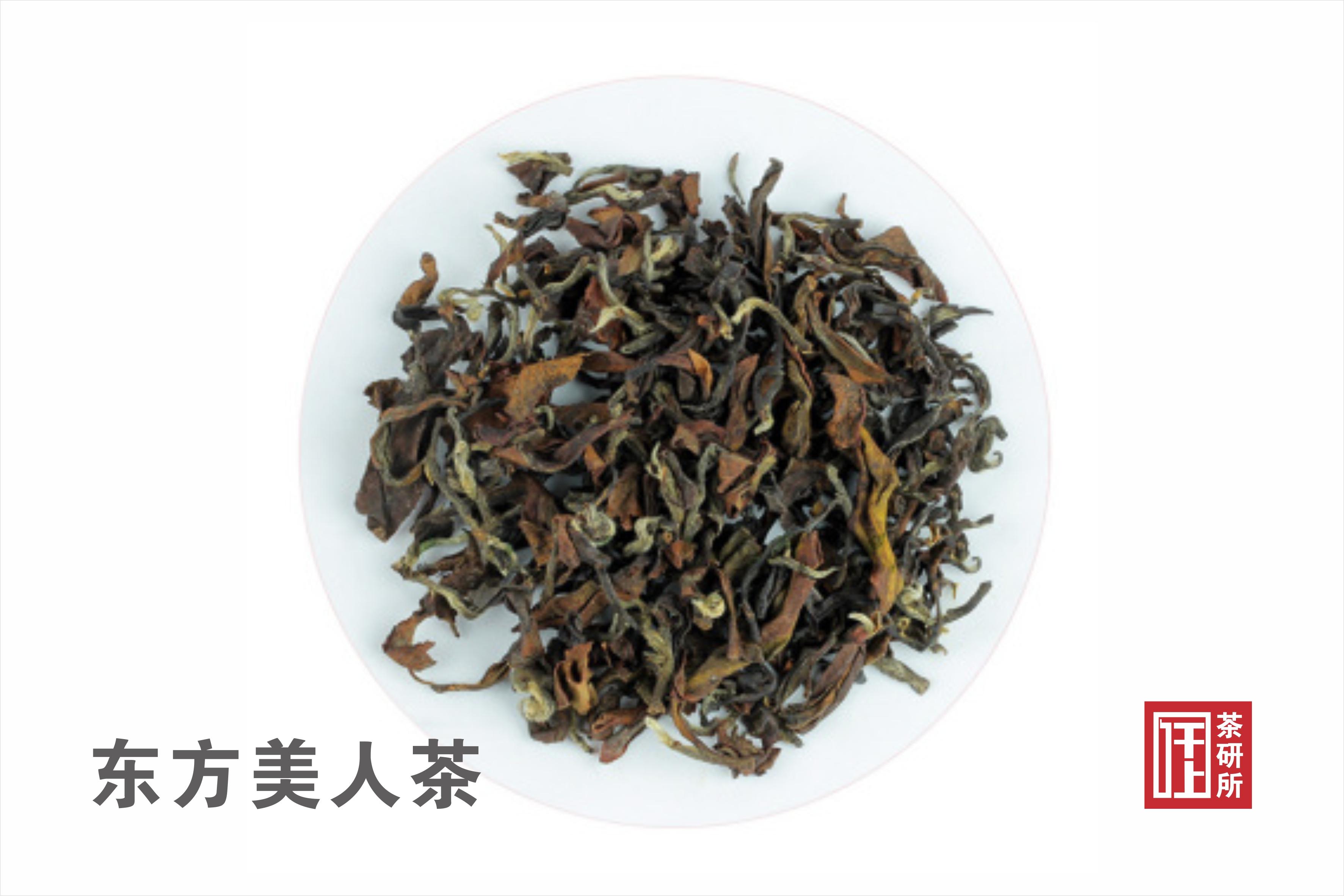 揭秘2023年台湾最新重大消息，前沿动态与未来展望，揭秘台湾最新动态，2023年重大消息、前沿趋势与未来展望