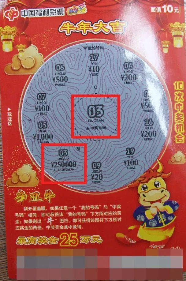 王中王资料一肖中特co，深度解析与SEO优化策略，王中王资料一肖中特co，深度解析与SEO优化策略全攻略