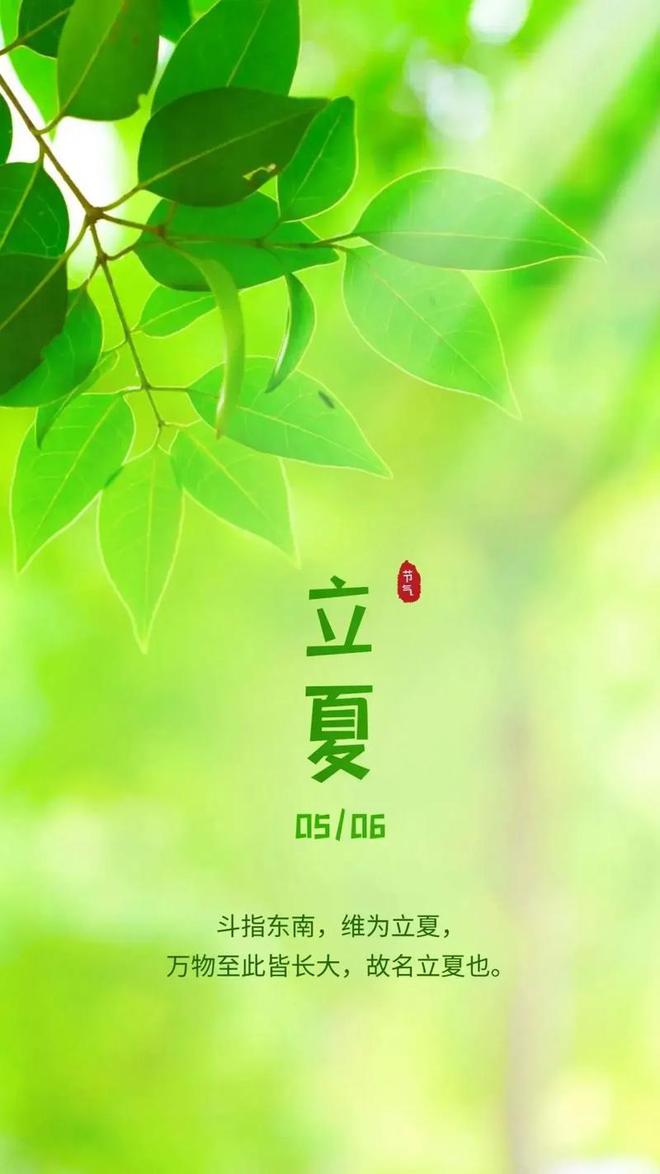 今天是哪个季节？探索季节变化与我们的生活，季节探索，生活与季节变化的紧密关联