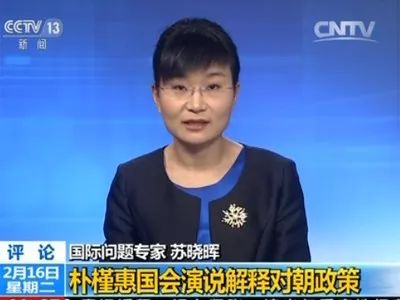 军事评论员苏晓晖的出生年份揭秘，揭秘军事评论员苏晓晖的出生年份