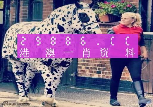 澳门王中王一中特资料解析与SEO优化策略，澳门王中王一中特资料详解与SEO策略优化指南