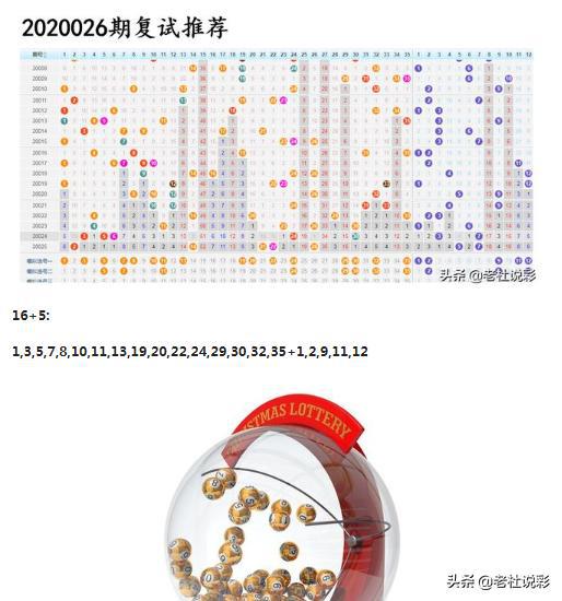 王中王026期指一生肖，深度解析与预测，王中王026期生肖深度解析与预测，揭秘生肖运势走向