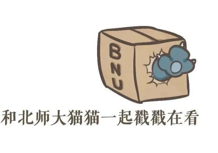 今天不喜欢肖淮，深度理解与客观评价，深度理解与客观评价，今日对肖淮的反思与观察
