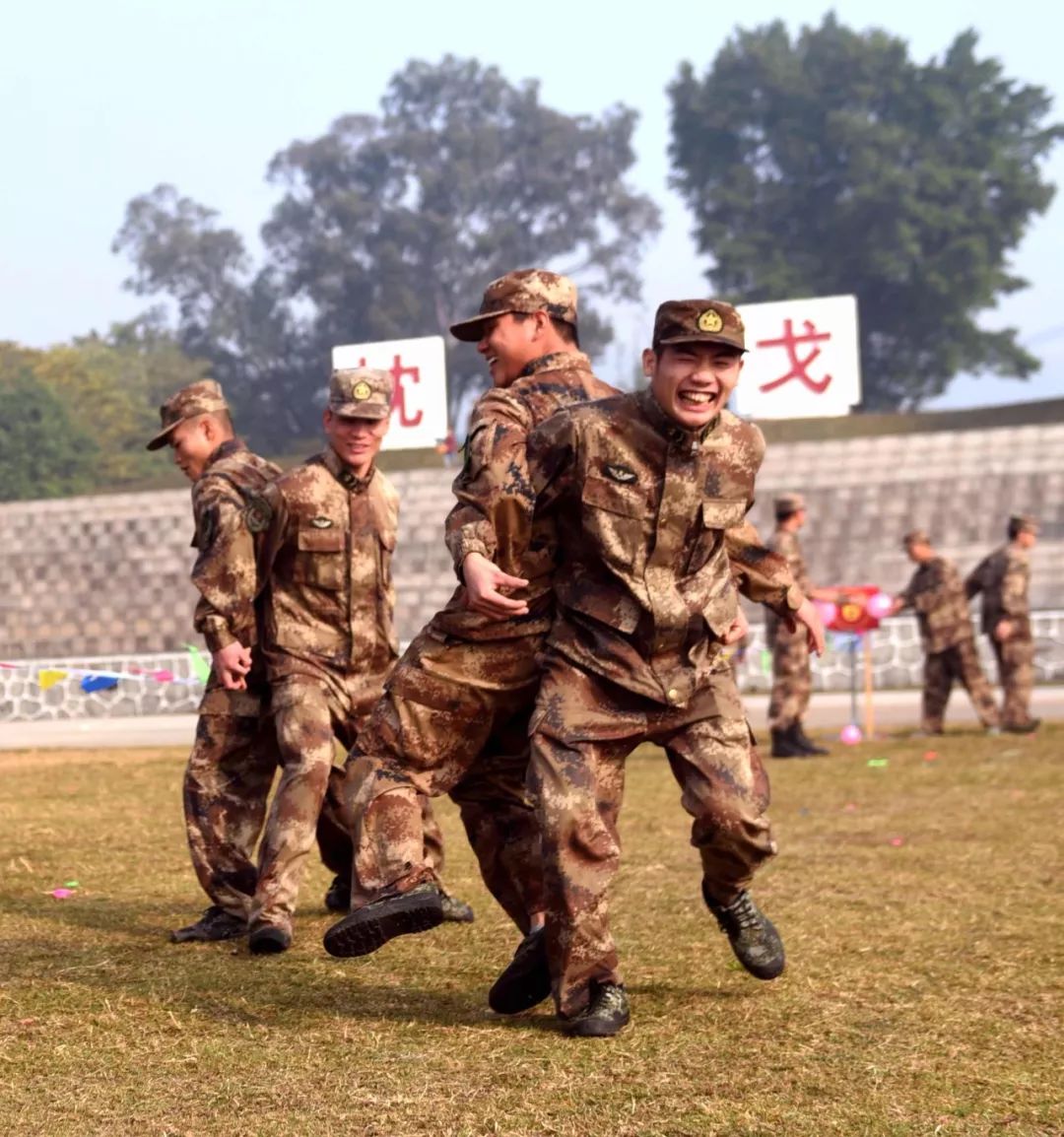 第12集团军维基百科介绍及SEO优化文章，第12集团军维基百科介绍与SEO优化详解