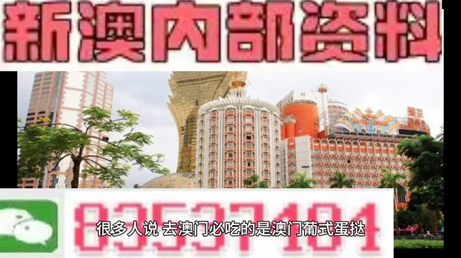 新澳门内部免费资料精准大全——探索与解析，澳门内部资料精准探索与解析大全