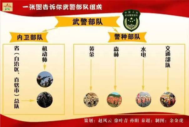武装警察部队的职能，守护国家安全与稳定的坚实力量，武装警察部队，守护国家安全与稳定的钢铁长城
