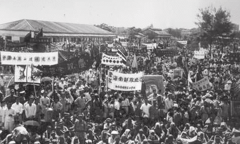 海南岛战役，双方兵力对比深度解析，海南岛战役，兵力对比深度剖析