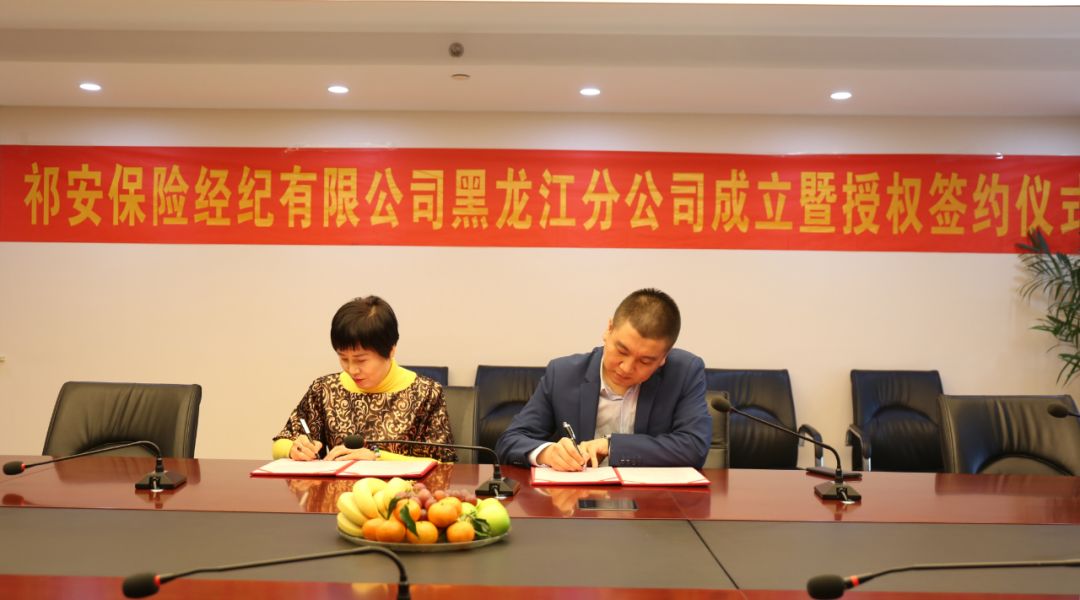 祁发保险是何职位？深度解析祁发保险角色与职责，祁发保险角色与职责深度解析