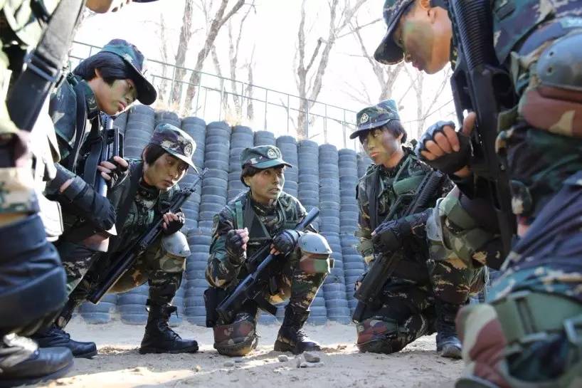 中国女特种兵代表人物，英勇无畏的战士与时代的骄傲，中国女特种兵代表人物，无畏战士与时代之光