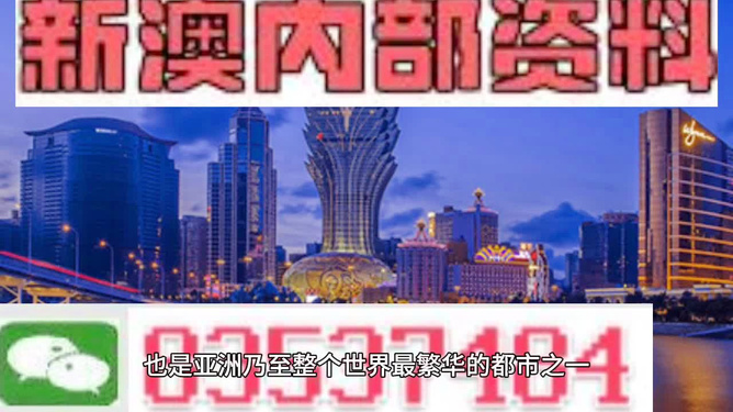 新澳门天天资料，探索与解读，新澳门天天资料，深度探索与解读