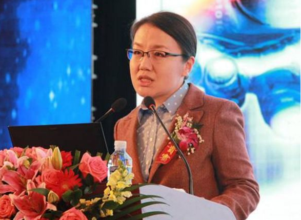 国防大学教授李莉，大坝建设与国家安全的重要关联，国防大学教授李莉揭秘，大坝建设与国家安全的紧密关联