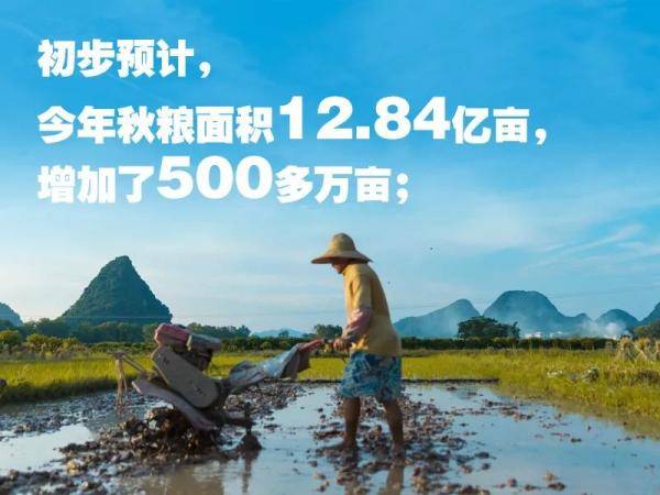 新闻咨询 第519页