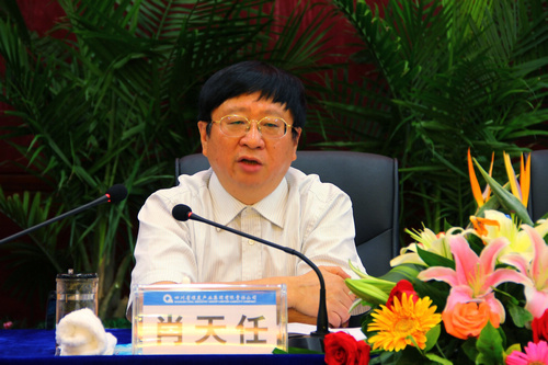 王中王资科一肖中持天，深度解析与SEO优化策略，王中王资科一肖中持天深度解析与SEO优化策略探讨