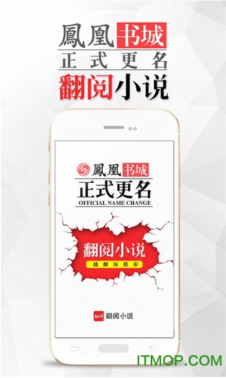 凤凰网新闻小说的魅力与SEO优化策略，凤凰网新闻小说的魅力与SEO优化之道