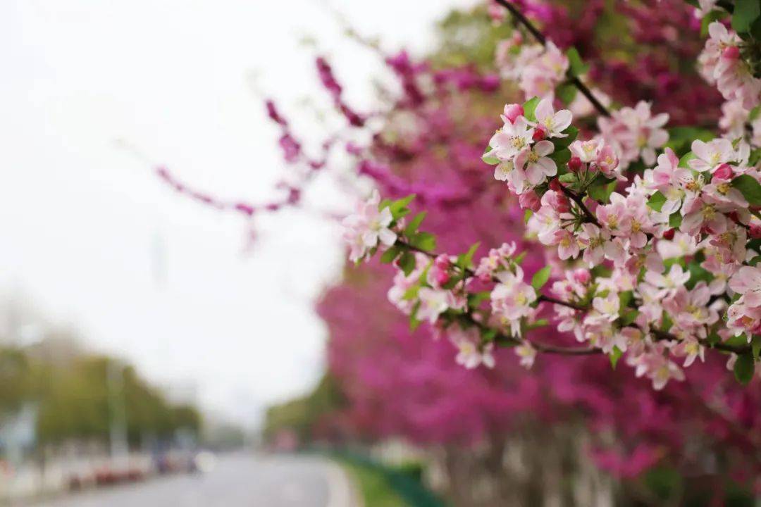 北风路口的个人主页，探索与发现，北风路口，个人主页的探索与发现之旅