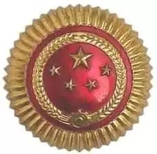 武警部队21式帽徽，新时代军威的象征，武警部队21式帽徽，新时代军威的荣耀象征