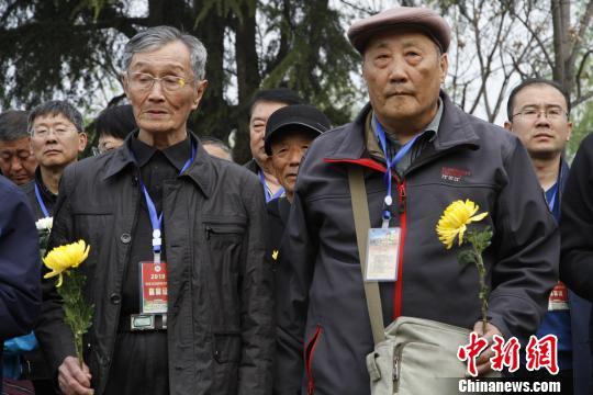 国民革命军第二集团军，历史沿革与贡献解析，国民革命军第二集团军历史沿革与贡献深度解析
