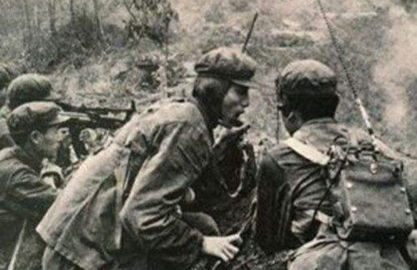 中越战争血战凉山电影，历史与艺术的交织，中越战争背景下凉山血战的影视呈现，历史与艺术的交融之旅