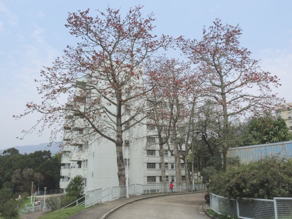 石岗军营旅游，探寻历史遗迹，体验别样风情，石岗军营旅游，探寻历史遗迹，领略别样风情