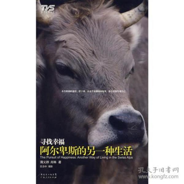 正板四不像王中王必一肖，探索神秘文化符号的魅力，探索神秘文化符号的魅力，正板四不像王中王必一肖揭秘