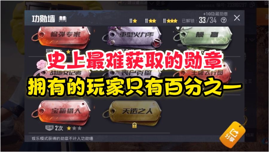 中国最难获得的勋章，探寻殊荣背后的荣耀与挑战，中国最难获得的勋章，荣耀与挑战背后的殊荣探寻