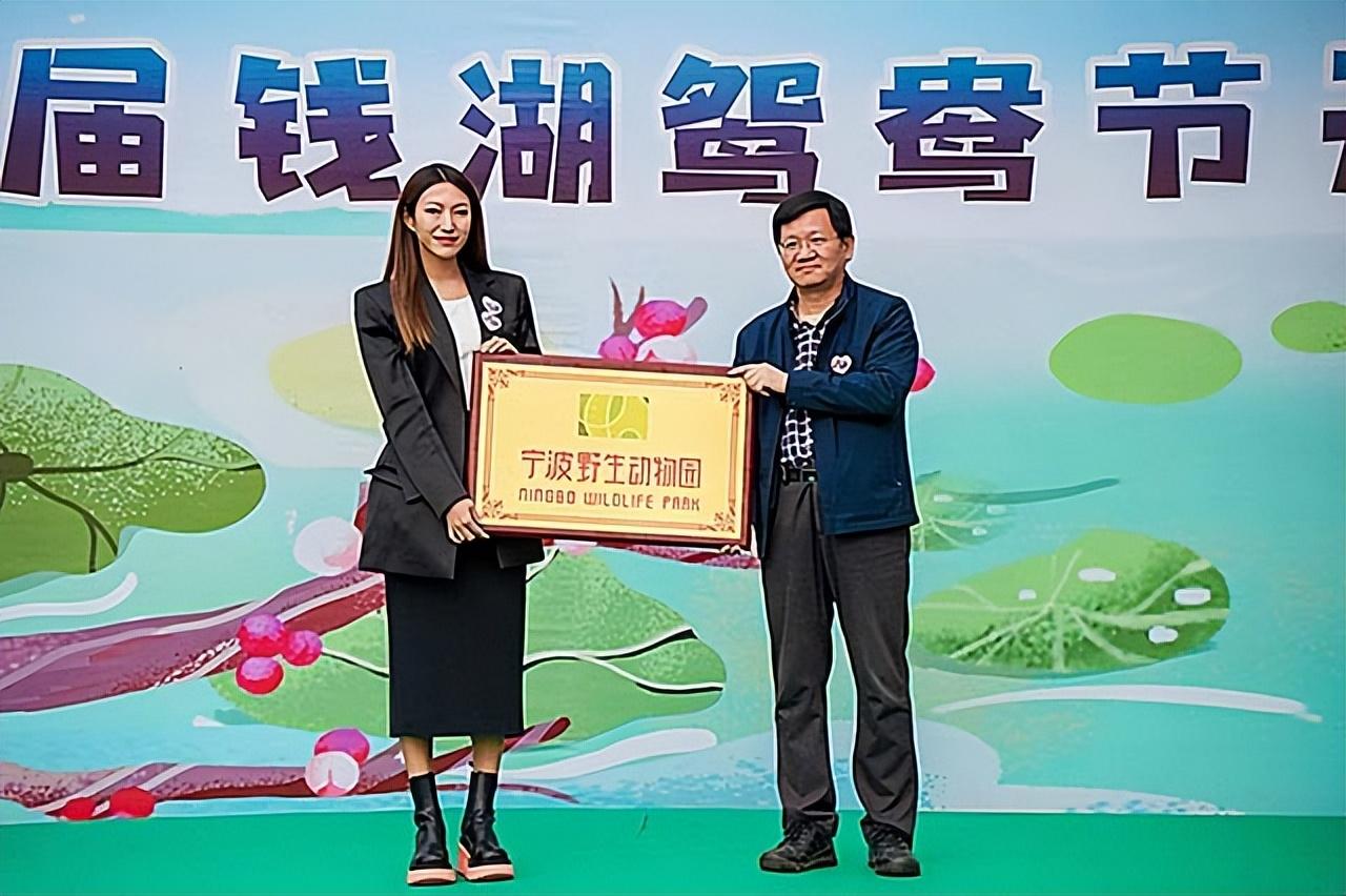 阅兵盛典，从2015到2019年的辉煌回顾，阅兵盛典，五年辉煌回顾，从2015到2019
