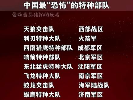 北京特种部队概况，数量与特点揭秘，北京特种部队揭秘，数量与特点全景展示