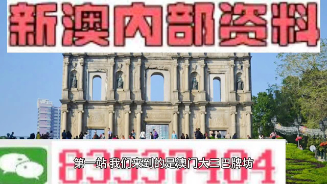 新澳门资料免费大全的特点和优势，澳门资料免费大全，特点与优势概览