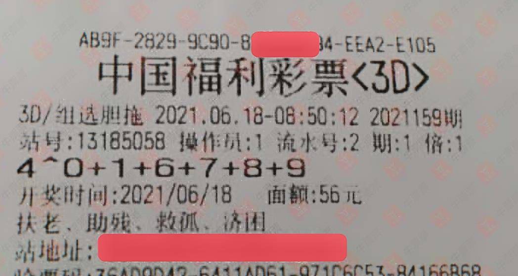 三肖三码期期精选澳门——探索澳门博彩文化的独特魅力，澳门博彩文化独特魅力探索，三肖三码期期精选