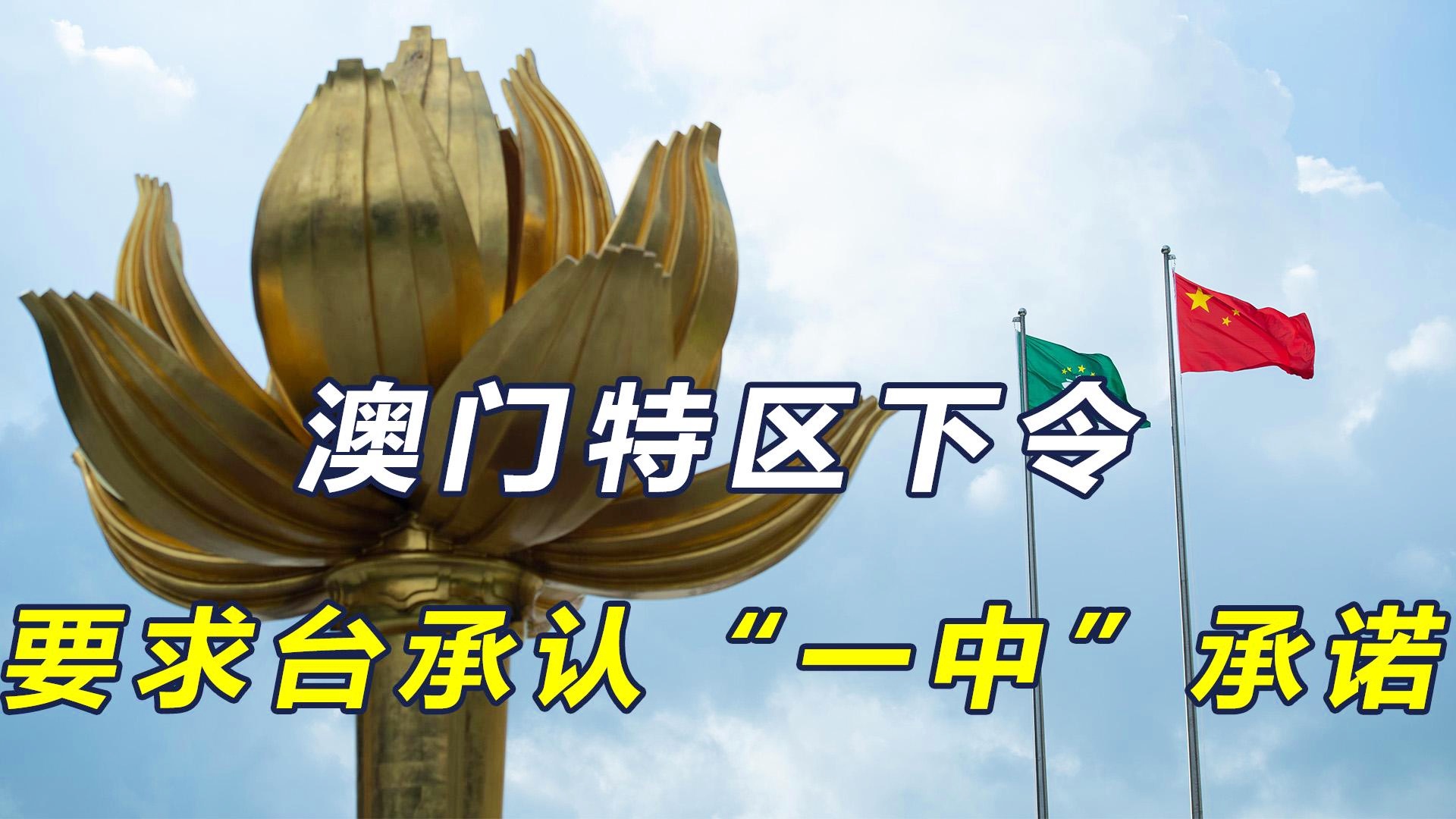 新澳门一肖一特一中，探索与解析，新澳门一肖一特一中，深度探索与解析