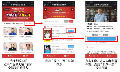 凤凰网新闻投票，深度参与，共筑网络民主新篇章，凤凰网新闻投票活动，深度参与共筑网络民主新篇章