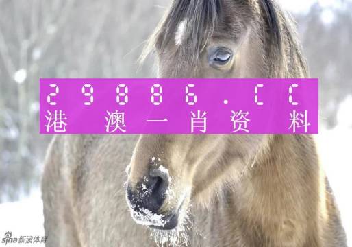 澳门一肖一码，揭秘预测准确率百分之百的秘密，澳门一肖一码揭秘，百分之百预测准确率的神秘秘密揭晓