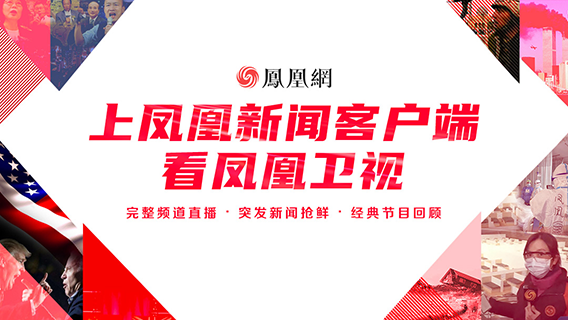 凤凰网与凤凰网新闻，引领新闻资讯的翅膀飞翔，凤凰网及其新闻平台，引领资讯飞翔的翅膀