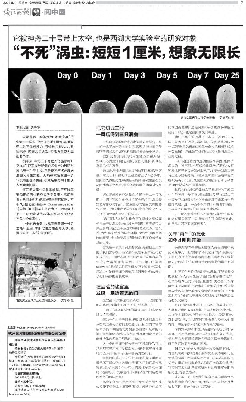 头条新闻，今日头条新闻一览，今日头条新闻概览