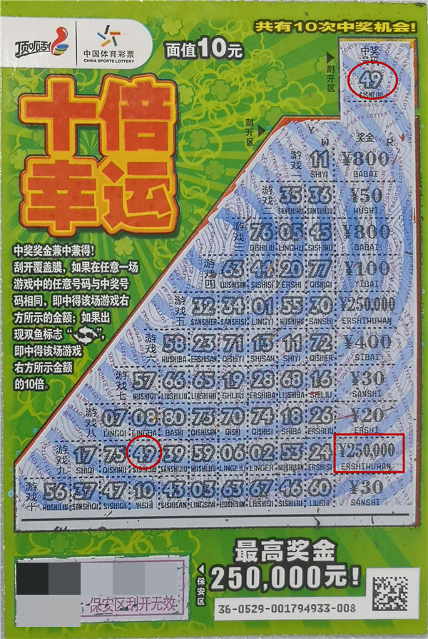 王中王资枓一肖中特图，深度解析与SEO优化策略，王中王资枓一肖中特图，深度解析与SEO优化策略探讨