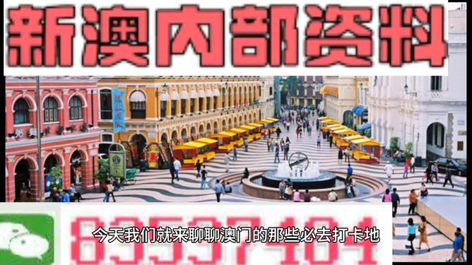 新澳最新最快资料，全面获取与深度解析，新澳最新资料获取与深度解析