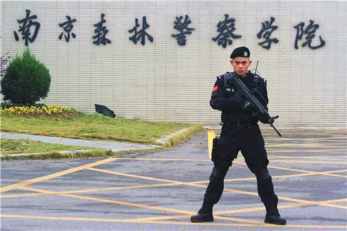中央直属五大警校的卓越贡献与特色教育，中央直属五大警校的贡献与特色教育概览