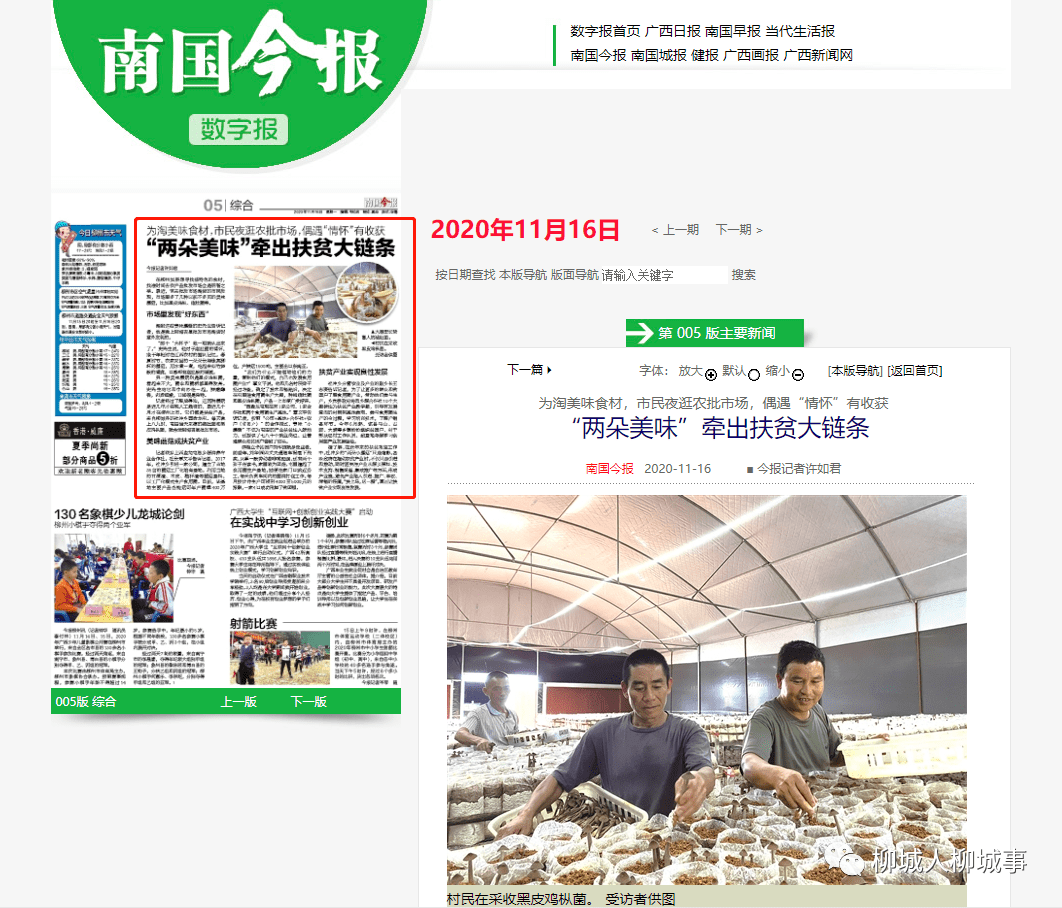 中国今日新闻内容概览，中国今日新闻概览