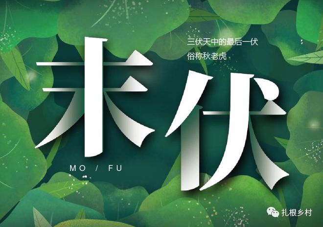 今日是否末伏？——探寻末伏的奥秘，探寻末伏的奥秘，今日是否末伏？