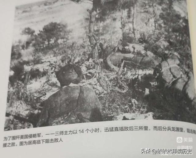 揭秘师师长江潮，探寻师师113背后的故事与传奇，揭秘师师长江潮背后的故事与传奇，探寻师师113的足迹与传奇经历